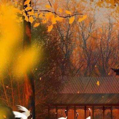 代号灵手游4399版下载